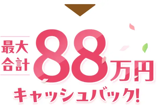 最大合計88万円キャッシュバック