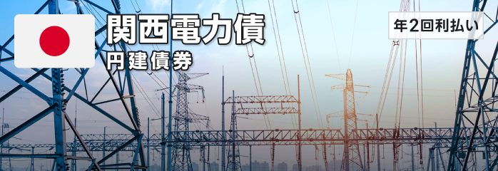 関西電力 円建債券［年2回利払い］